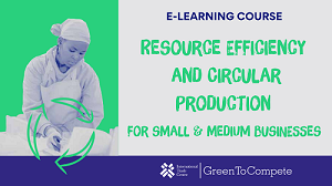 Special Session: Introduction to Resource Efficiency and Circular Production for SMEs